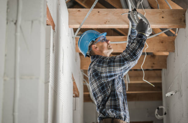 Best Electric Panel Repair  in Frackville, PA