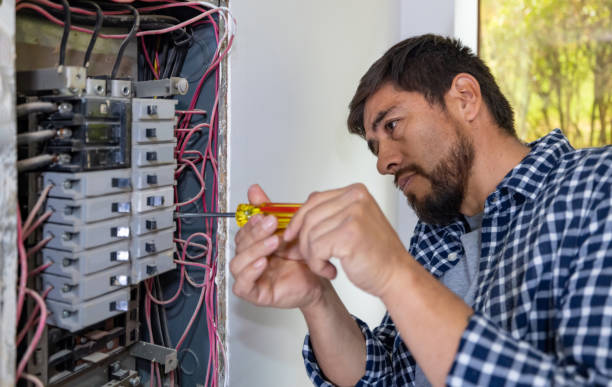 Best Local Electrician Companies  in Frackville, PA